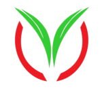 Majestic Plus Hypermarket L.L.C